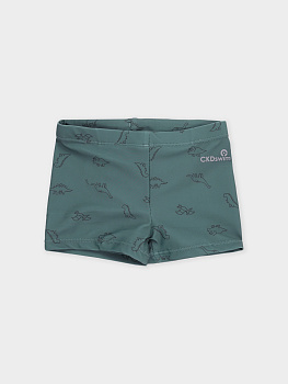трусы