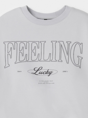 набор свитшот+брюки